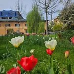Golden Flat By Grazrentals Terrace & Garden View & Free Parking Apartment Graz