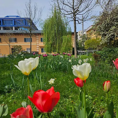Golden Flat By Grazrentals Terrace & Garden View & Free Parking Daire Graz