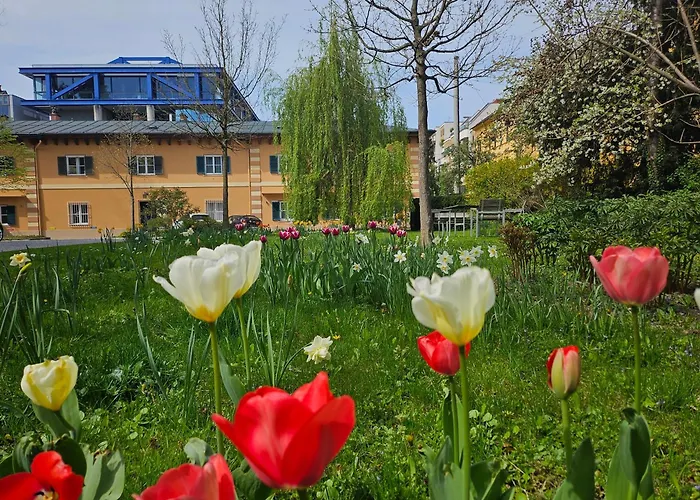 Golden Flat By Grazrentals With Parkview - Brandnew & Free Parking 公寓 格拉茨